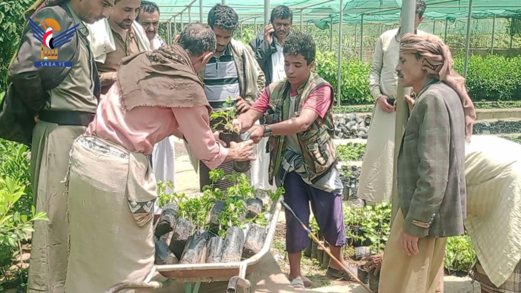 توزيع وزراعة 4500 شتلة فاكهة في مديرية جبل الشرق بذمار