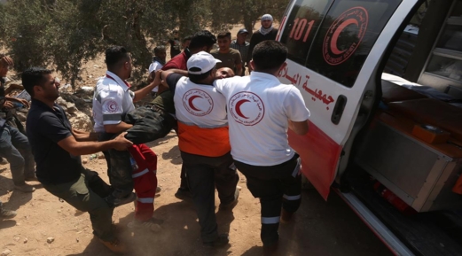 إصابة خمسة فلسطينيين جراء اعتداء للمستوطنين قرب أريحا 
