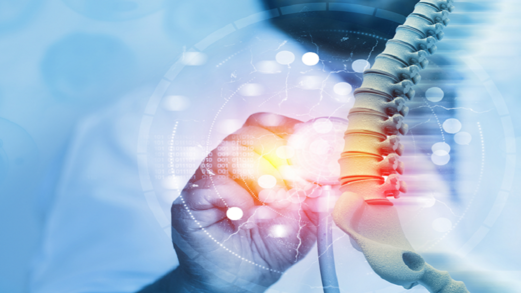 "تحمله في دمك".. علاج ثوري يخلصك من آلام الظهر تماما "تحمله في دمك".. علاج ثوري يخلصك من آلام الظهر تماما