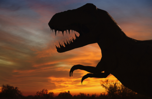 علماء حفريات يكتشفون أقدم ديناصور "سيرابودان" في المغرب علماء حفريات يكتشفون أقدم ديناصور "سيرابودان" في المغرب