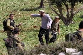 مستوطنون يعتدون على أراضي الفلسطينيين وممتلكاتهم في الخليل ونابلس