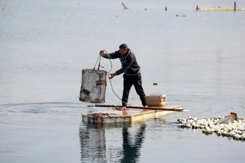 شباك ممزقة وأحلام غارقة.. صيادو غزة يواجهون الموت يومياً بحثاً عن الرزق