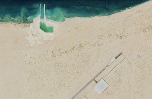 ترامْب يفاوضُ إقليمَ "أرضِ الصومالِ" علَى موطِئ قدمٍ