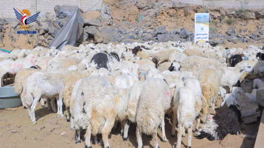 مؤسسة الشهداء تدشن مشروع أضاحي العيد لأسر الشهداء الاشد فقرا