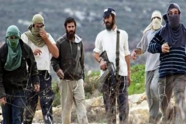 إصابة 8 مواطنين فلسطينيين جراء اعتداءات مستوطنين في مسافر يطا بالخليل وبلدة جبع شمال القدس