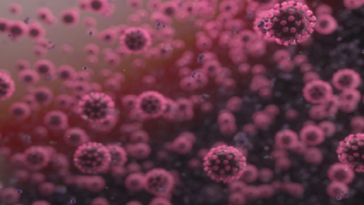 احصائية وفيات الدول الاكثر تضررا من كورونا احصائية وفيات الدول الاكثر تضررا من كورونا