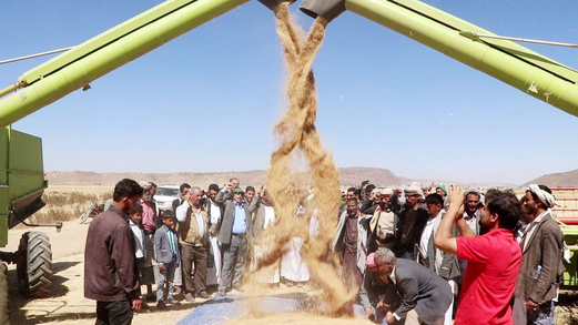 السيادة الغذائية ضرورة وطنية