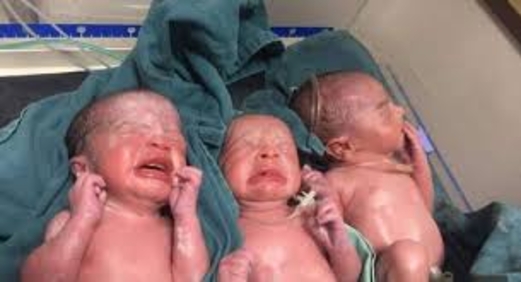 ولادة ثلاثة توائم بمستشفى فلسطين بأمانة العاصمة ولادة ثلاثة توائم بمستشفى فلسطين بأمانة العاصمة