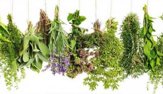 لا تفوت هذه الاعشاب.. لصحة قلبك لا تفوت هذه الاعشاب.. لصحة قلبك