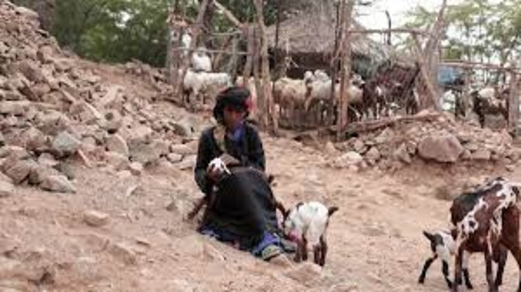 اليمن وطريق القرويين