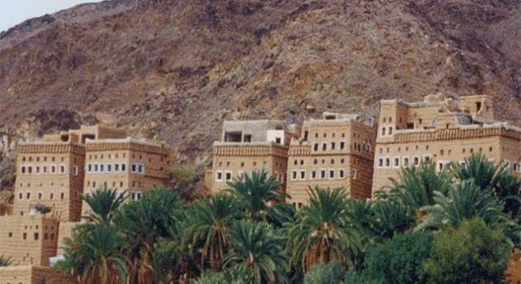 تدشين موسم الحصاد الشتوي للقمح بمزرعة الشهيد الصماد في الجوف