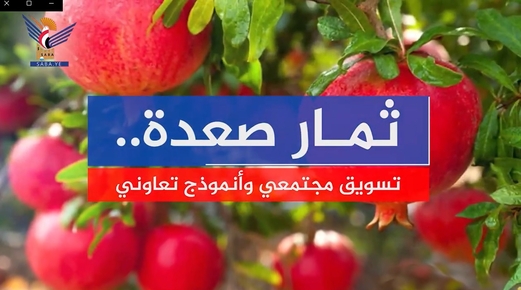 ثمار صعدة .. تسويق مجتمعي وأنموذج تعاوني (فيديو) ثمار صعدة .. تسويق مجتمعي وأنموذج تعاوني (فيديو)