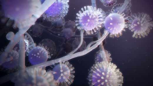 منظمة الصحة العالمية تصدر أول قائمة على الإطلاق للفطريات المهددة للحياة!