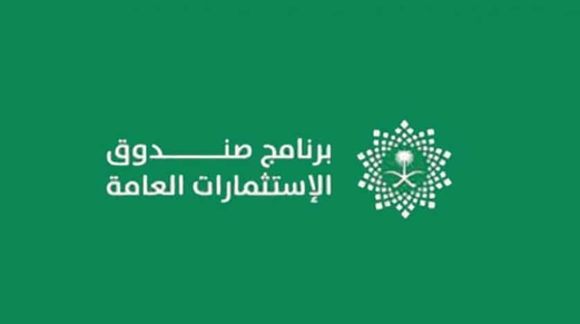 نمو صندوق الاستثمارات السعودية: الكذبة الكبرى لمحمد بن سلمان نمو صندوق الاستثمارات السعودية: الكذبة الكبرى لمحمد بن سلمان