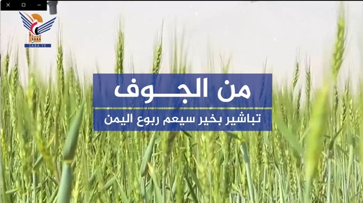 مؤسسة أنعام اليمن.. توجه لكسر الحصار وخطوة نحو الاكتفاء مؤسسة أنعام اليمن.. توجه لكسر الحصار وخطوة نحو الاكتفاء