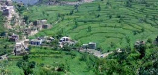 صدى ريمة …إصدار جديد صدى ريمة …إصدار جديد