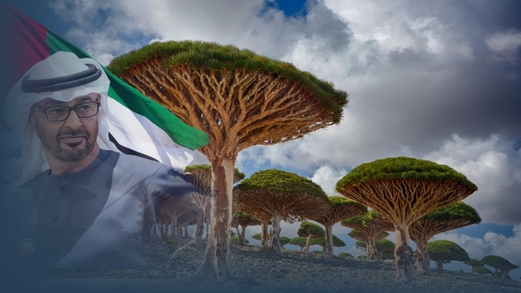  أرخبيل سقطرى .. أطماع إماراتية دولية لفرادة المكان والموقع