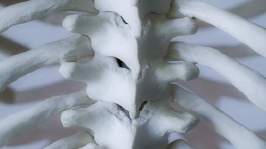 الساعة واليوم والشهر الأثر فتكا بالبشرية وفق ترجيحات علمية الساعة واليوم والشهر الأثر فتكا بالبشرية وفق ترجيحات علمية