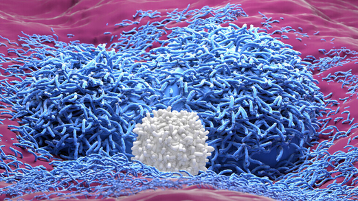 علماء يطورون جهازاً قد يساعد على علاج السرطان في 60 يوماً علماء يطورون جهازاً قد يساعد على علاج السرطان في 60 يوماً