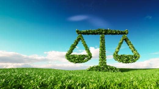 “قانون الطبيعة” المفقود “قانون الطبيعة” المفقود