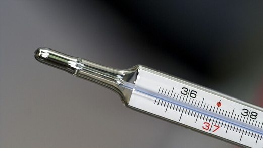 ماذا يحدث في جسمك أثناء الحمى؟ ماذا يحدث في جسمك أثناء الحمى؟