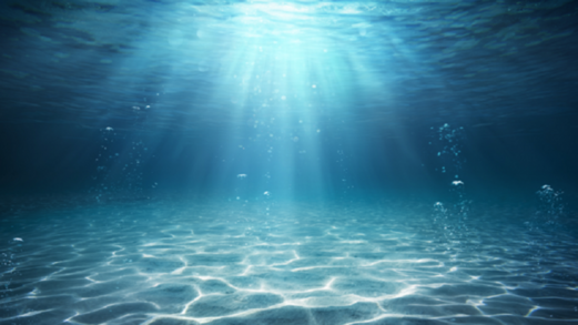 ماذا سيحدث لو اختفت جميع أسماك المحيط؟ ماذا سيحدث لو اختفت جميع أسماك المحيط؟