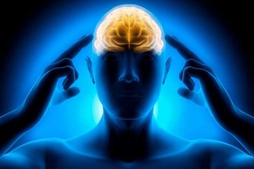 دراسة: تناول المأكولات الدهنية قبل الخضوع للجراحة يؤثر على وظائف الذاكرة دراسة: تناول المأكولات الدهنية قبل الخضوع للجراحة يؤثر على وظائف الذاكرة