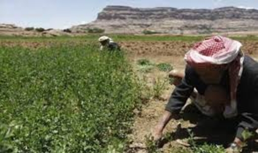 ورشة تقييم الأنشطة المنفذة من قبل مكون الارصاد الزراعي
