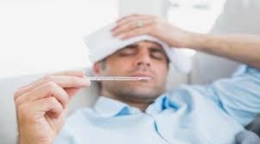 تعرف على الحٌميات التى تغزو عموم محافظات الجمهورية وطرق الوقاية منها