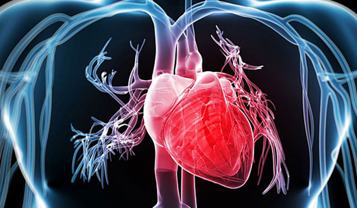 كشف إصابتك بأمراض القلب كشف إصابتك بأمراض القلب