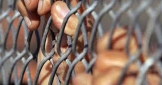 محمي: اليمن .. إعدام .. عام محمي: اليمن .. إعدام .. عام