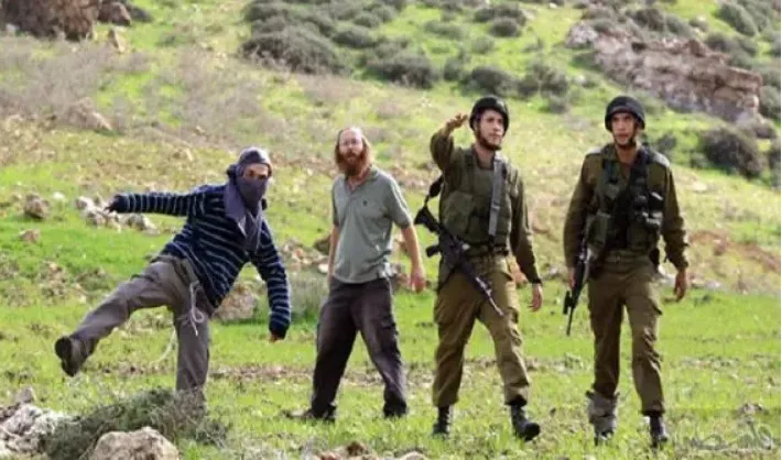 إصابة ثلاثة فلسطينيين بالاختناق جراء اعتداء للمستوطنين بجنين