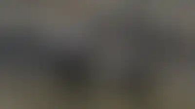 مستوطنون يطلقون الرصاص على رعاة أغنام فلسطينيين في المنية ببيت لحم