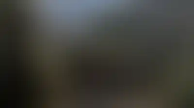 العدو الإسرائيلي مستوطنوه يواصلون اعتداءاتهم ضد الفلسطينيين وممتلكاتهم في الضفة الغربية