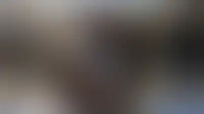 استشهاد شاب فلسطيني بقصف العدو الإسرائيلي شارع في بيت لاهيا