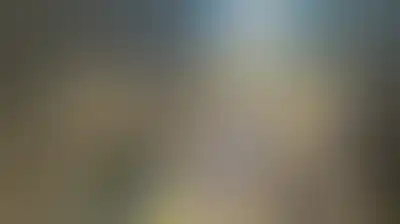 سيناتور أمريكي يدعو للتحقيق في استهداف حفل زفاف جنوب إيران ومحاسبة المسؤولين