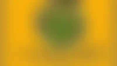 النجباء: محاولات الاحتلال الأميركي لإثارة الفتن في العراق تعكس عجزه