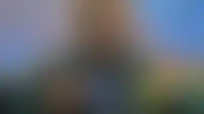 نائب قائد الحرس الثوري الإيراني: صمود الشعب أحبط أهداف العدو