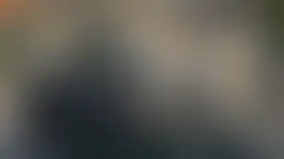 قوات العدو الإسرائيلي تواصل اقتحاماتها واعتداءاتها على الفلسطينيين في مناطق بالضفة