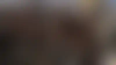 هيئة دولية تُحذّر من عودة المجاعة لغزة في ظل نفاد الطحين وتقليص المساعدات وتعطل دخول البضائع