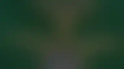النظام السعودي ودوره في تكريس التفوق العسكري للكيان