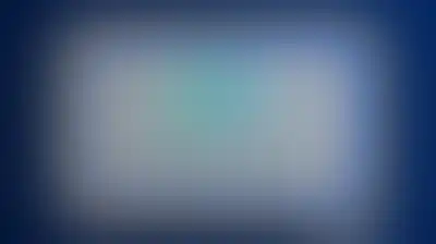 مصلحة الضرائب والجمارك تؤكد بدء إجراءات إعادة إفتتاح جمرك وميناء المخاء