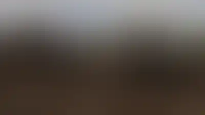 سوريا .. تصعيد إسرائيلي في القنيطرة ودرعا يوقع قتيلًا ويستهدف أراضي زراعية