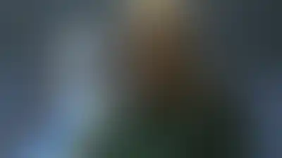 متحدث الحرس الثوري الإيراني: انتصارات الشعب اليمني في الساحل الغربي قصة نصر إلهي