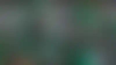 إحياء المولد.. موطئ يغيظ الكفار