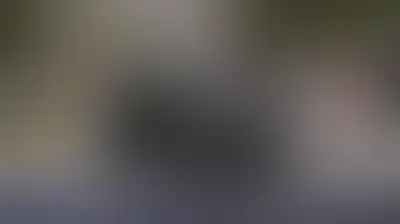 العدو الإسرائيلي يقتحم عناتا شمال شرق القدس المحتلة