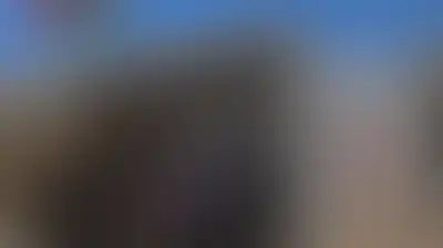 حين تصبح مدراس فلسطين في مرمى الهدم​​