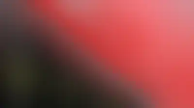 النفط يهبط 3% بعد أنباء عن السحب من مخزونات الديزل والخام