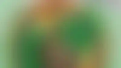 محافظ عدن: ثورة 14 أكتوبر جسّدت إصرار اليمنيين على انتزاع حريتهم بالقوة
