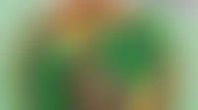 أكتوبر المجيد ومعركة الخلاص.. امتداد نضالي يسطر ملاحم السيادة والاستقلال